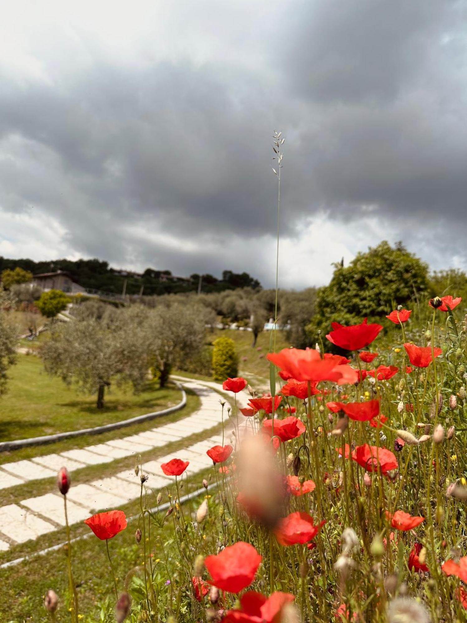 Holiday Home Sovenigo بويجناجو المظهر الخارجي الصورة