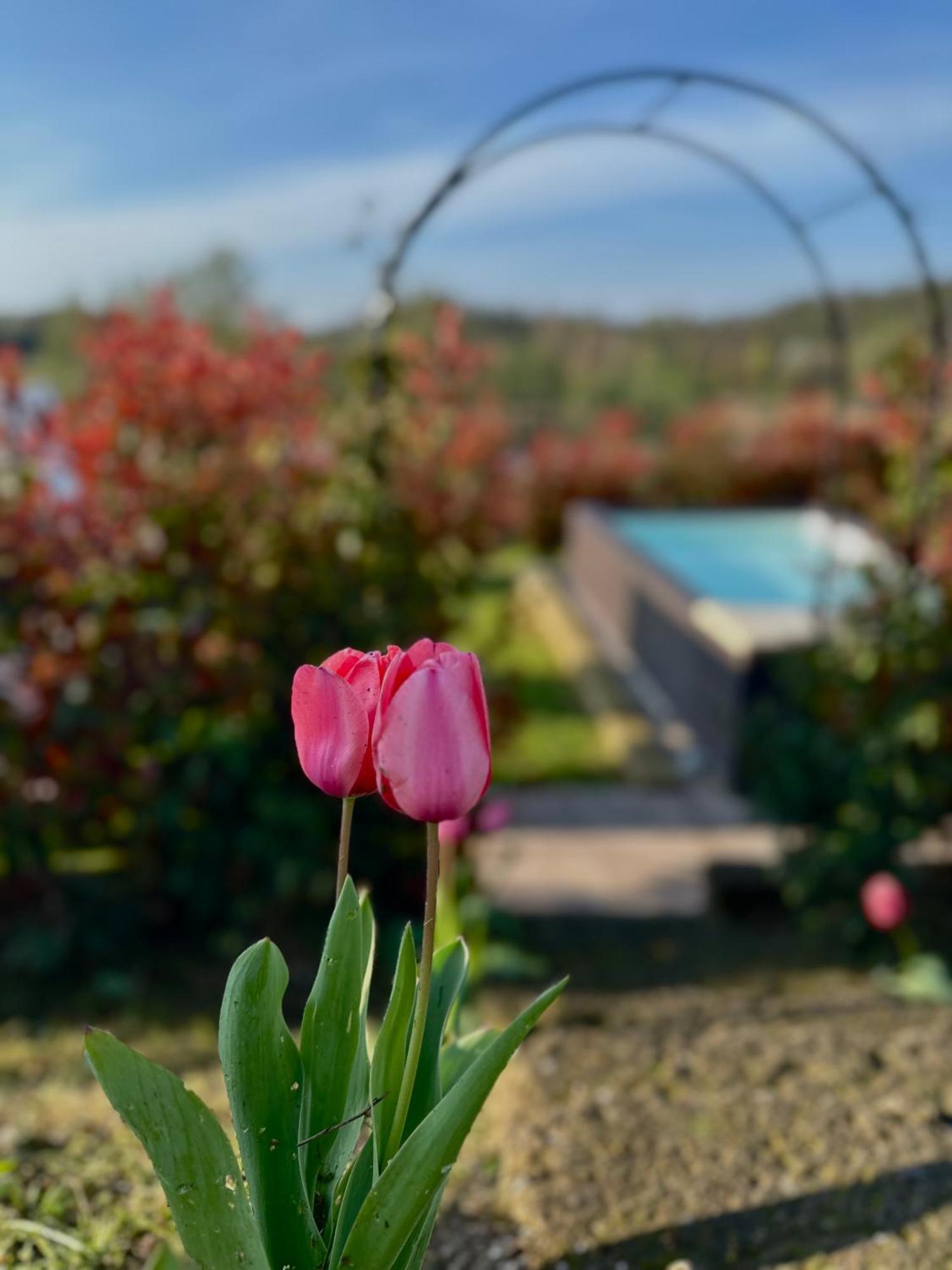 Holiday Home Sovenigo بويجناجو المظهر الخارجي الصورة